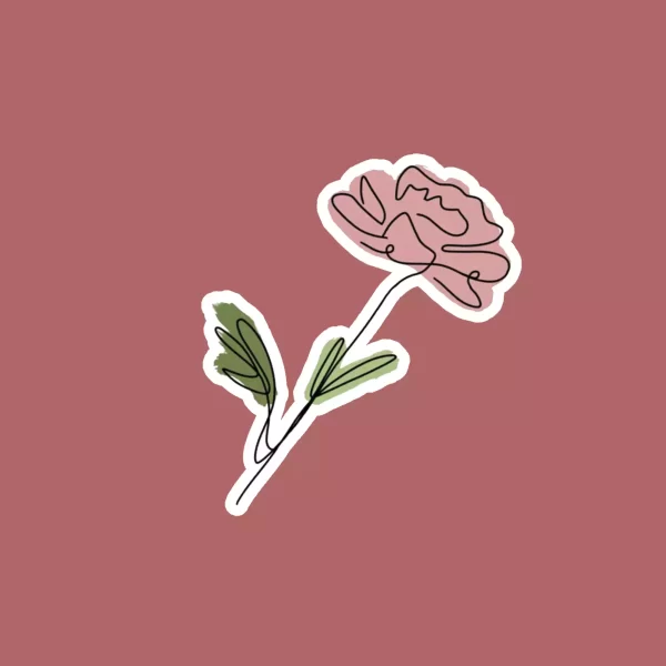 Rose Flower